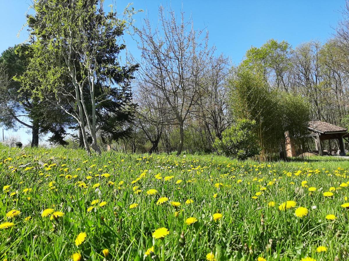 Chambre Soignee Et Accueillante A La Campagne - Ch. Jaune L'Honor-de-Cos Экстерьер фото